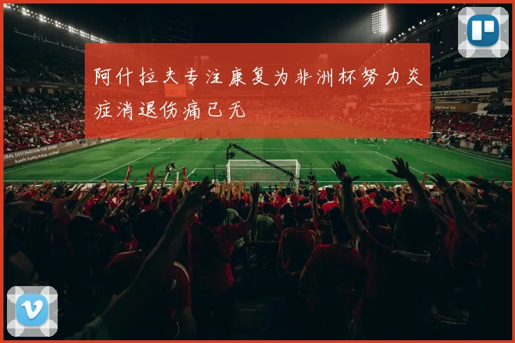 阿什拉夫专注康复为非洲杯努力炎症消退伤痛已无