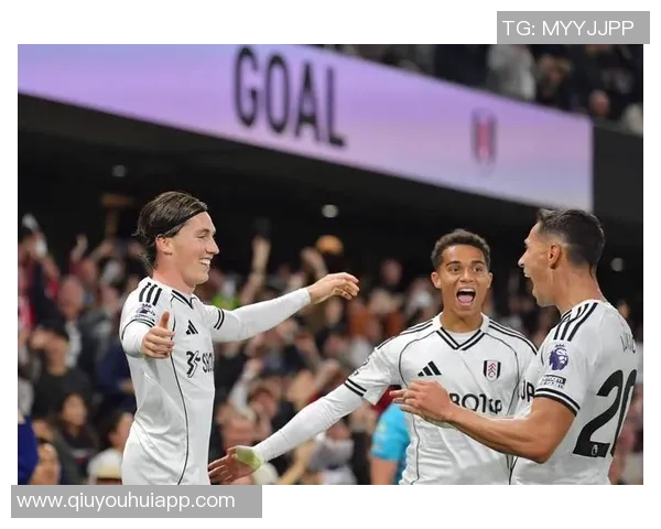 威尔逊谈富勒姆遭遇不公判罚希望未来能有所改善