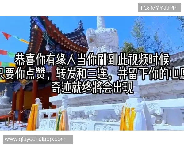 曾经并肩作战的兄弟们感谢你们的支持与陪伴祝福你们未来的每一步